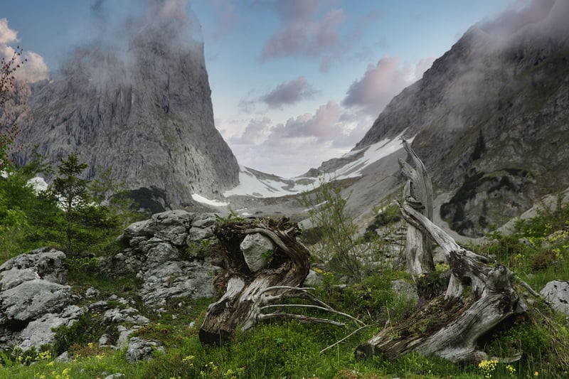 Swiss Alps