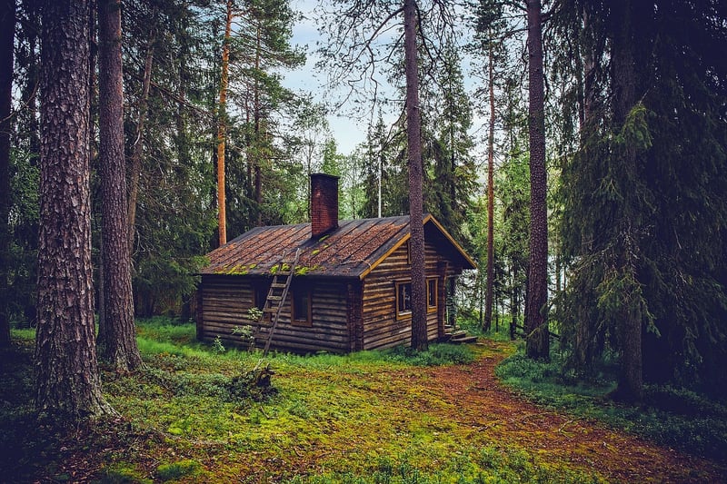 Cozy Cottage in the Woods